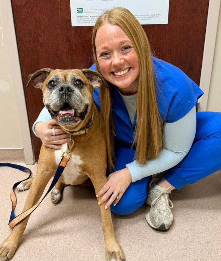 Dr. Rachael Jolly, DVM